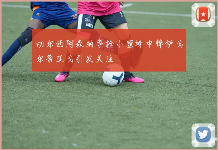 切尔西阿森纳争抢小蜜蜂中锋伊戈尔蒂亚戈引发关注