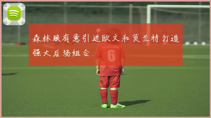 森林狼有意引进欧文和莫兰特打造强大后场组合