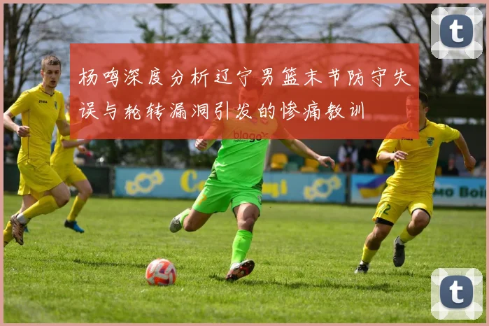 杨鸣深度分析辽宁男篮末节防守失误与轮转漏洞引发的惨痛教训