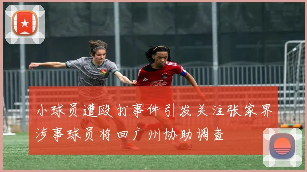 小球员遭殴打事件引发关注张家界涉事球员将回广州协助调查